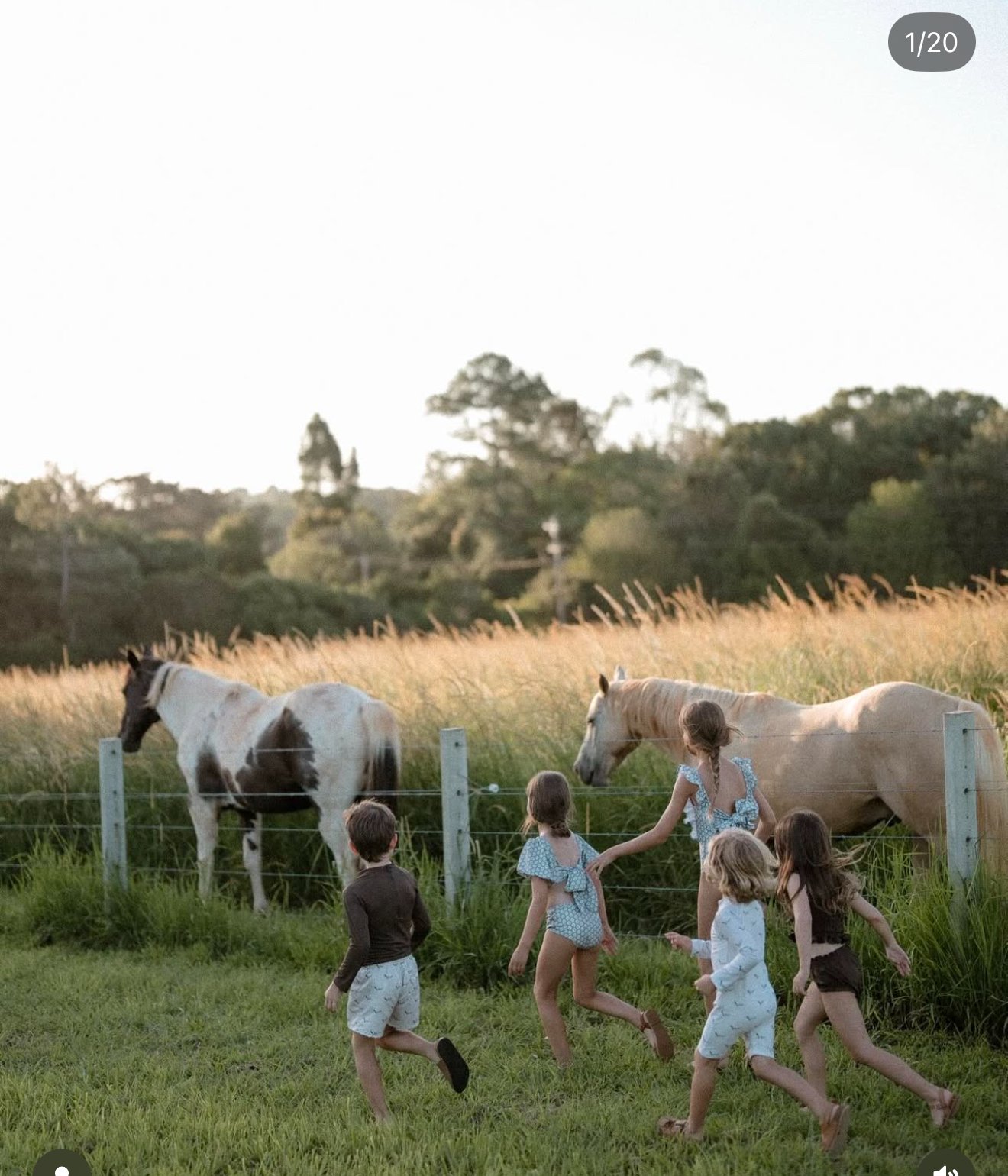 Kids running toward horses in a field
